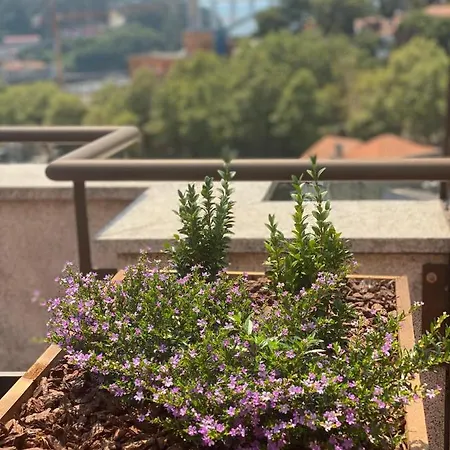 Hotel Vilar